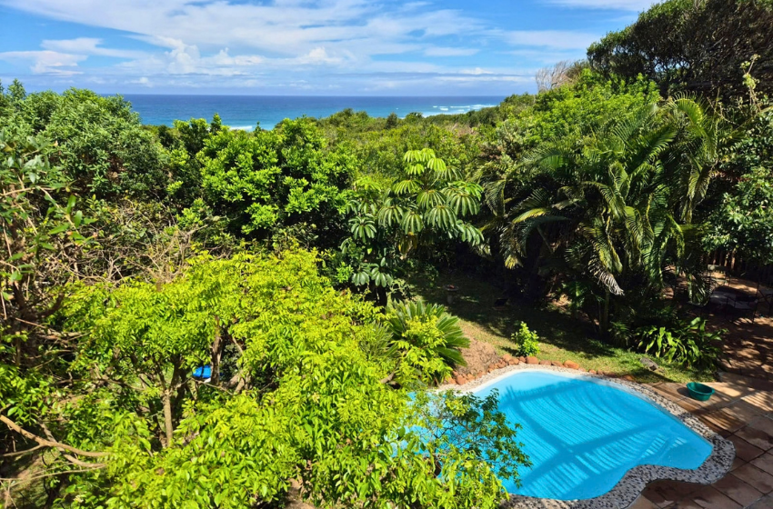 pool at Kangela 14 in Ponta Malongane